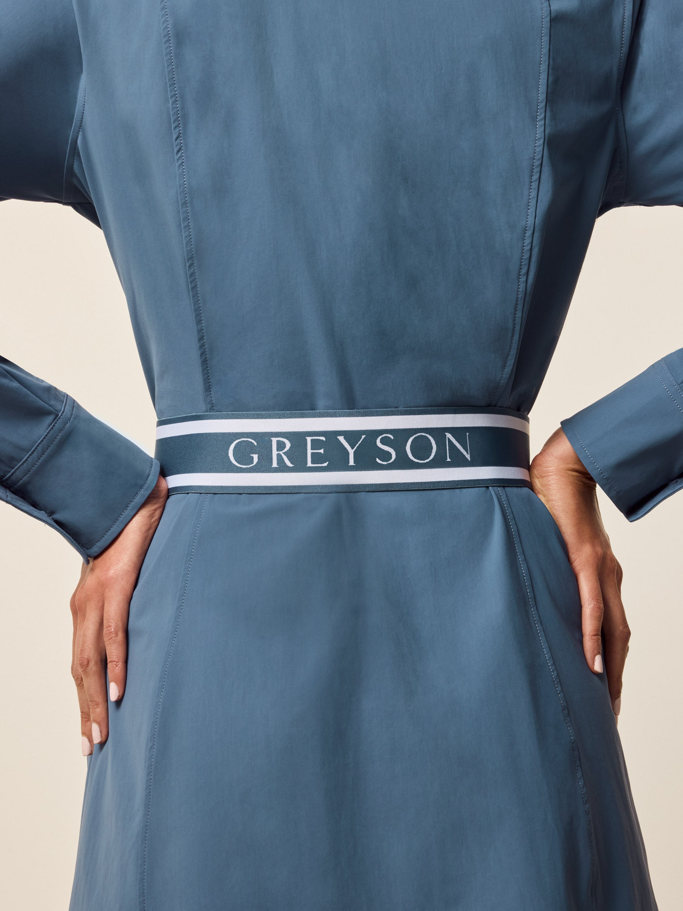 Phoenix Long Sleeve Belted Dress