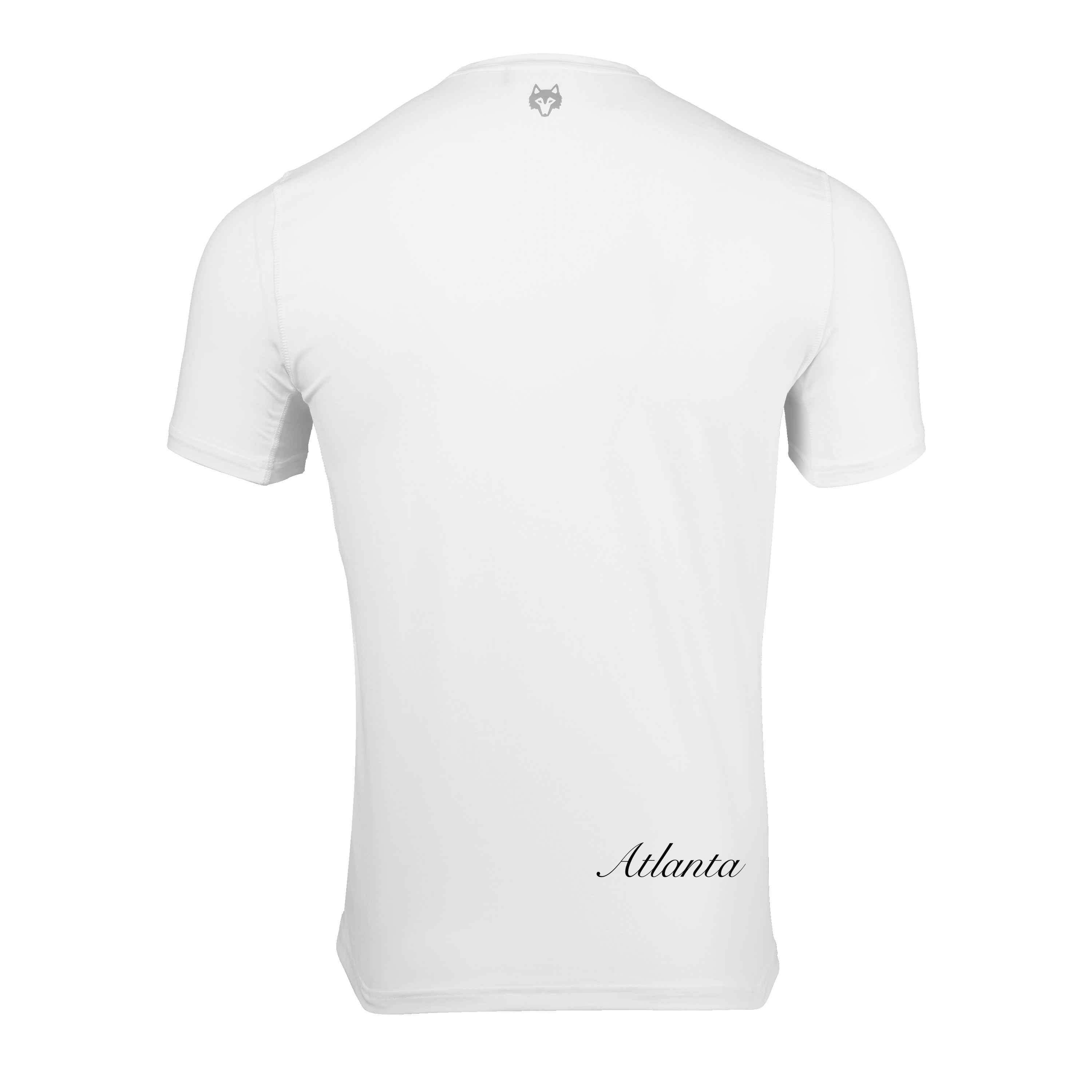 Atlanta Falcons Guide Short Sleeve Tee