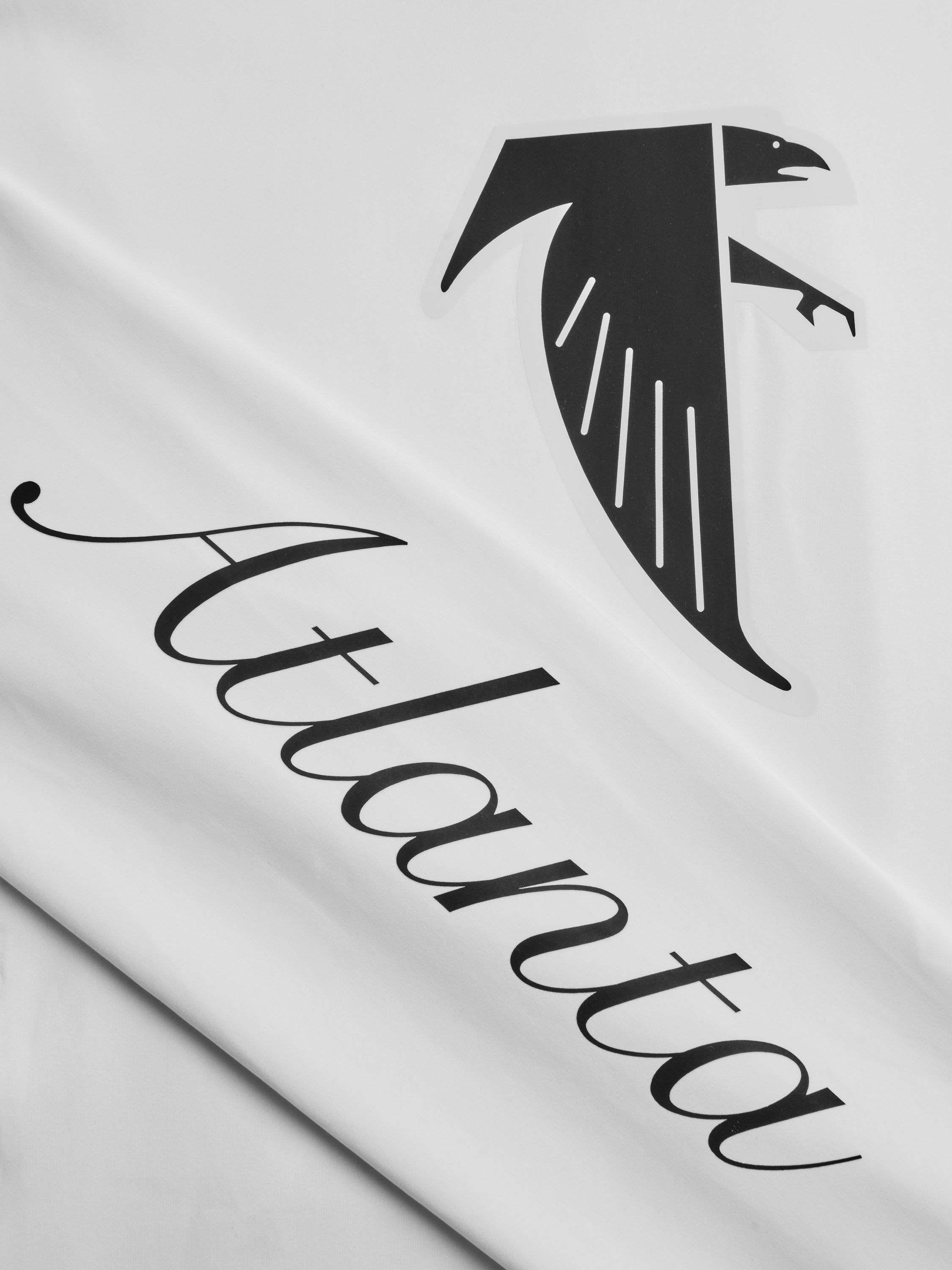 Atlanta Falcons Cokato Hoodie