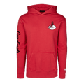 Arizona Cardinals Vintage Aspen Hoodie