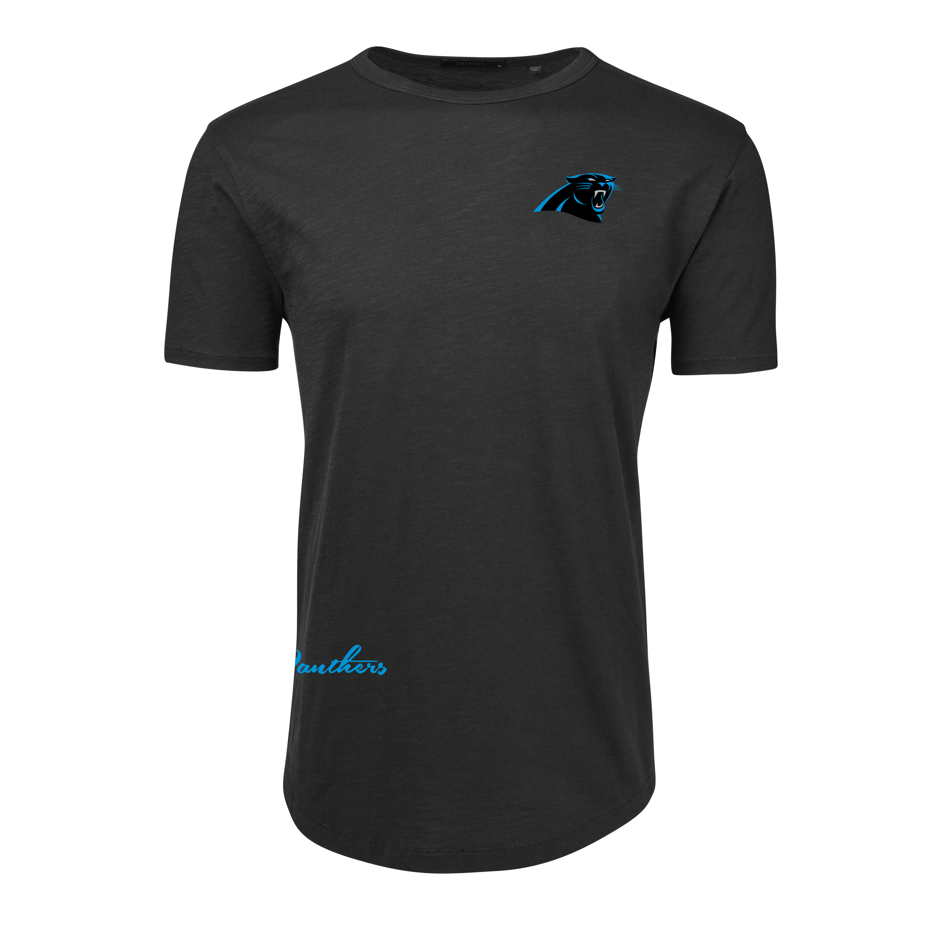Carolina Panthers Vintage Alpha Slub Tee